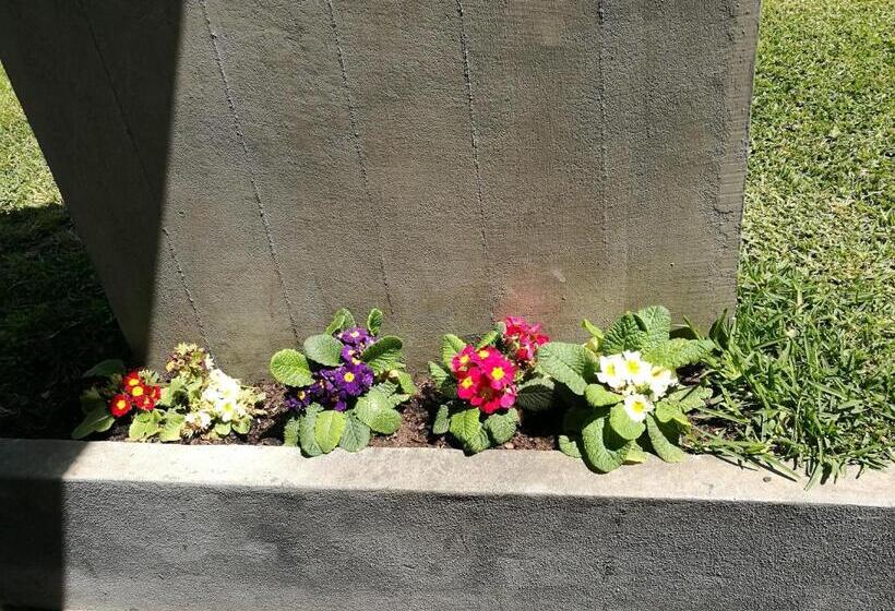 פנסיון Vitória S House