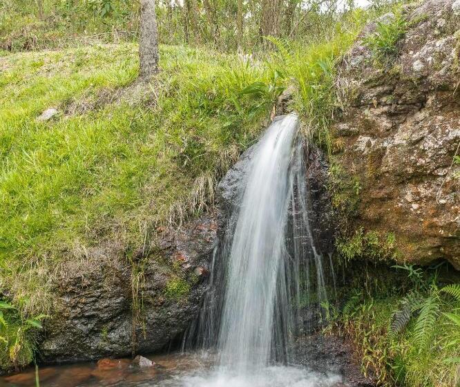 فندق صغير Pousada Do Morro Verde