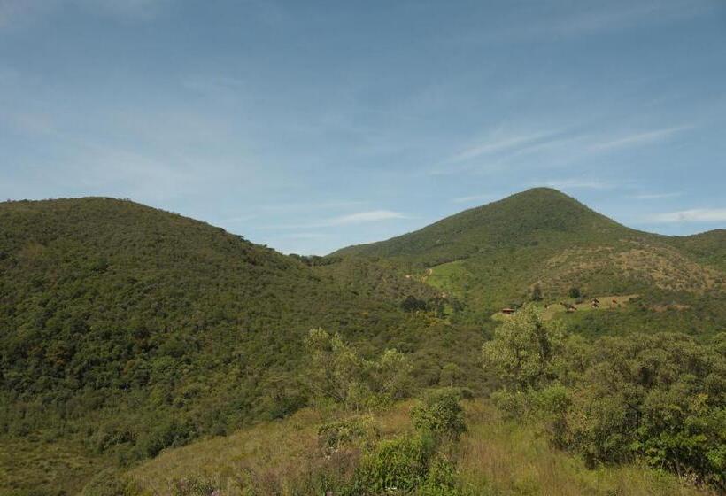 فندق صغير Pousada Do Morro Verde