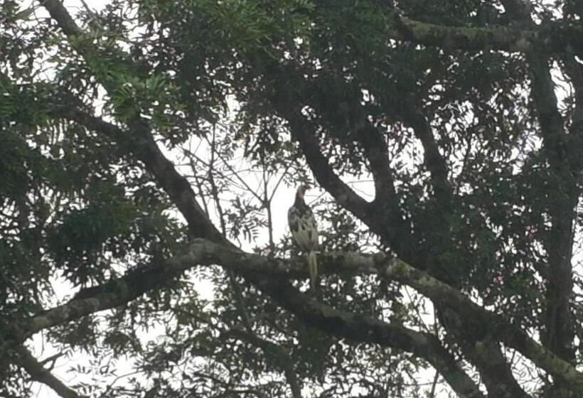 فندق صغير Pousada Do Morro Verde