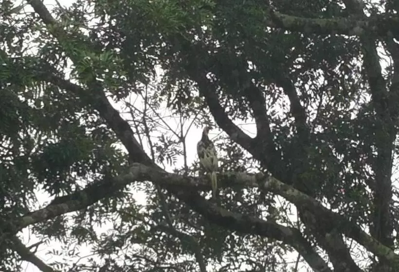 ユースホステル Pousada Do Morro Verde