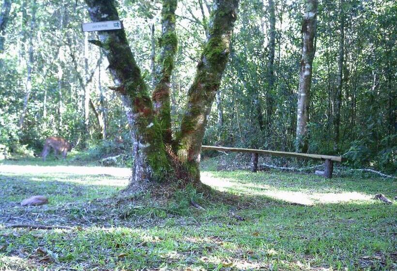 فندق صغير Pousada Do Morro Verde