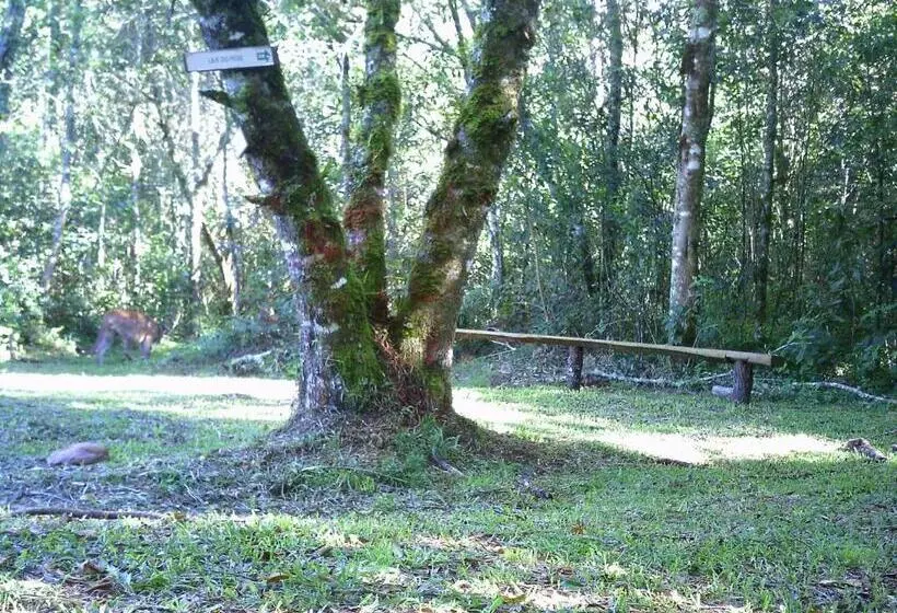 ユースホステル Pousada Do Morro Verde