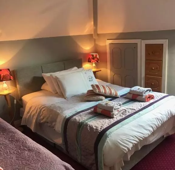 Aurora House Bed And Breakfast