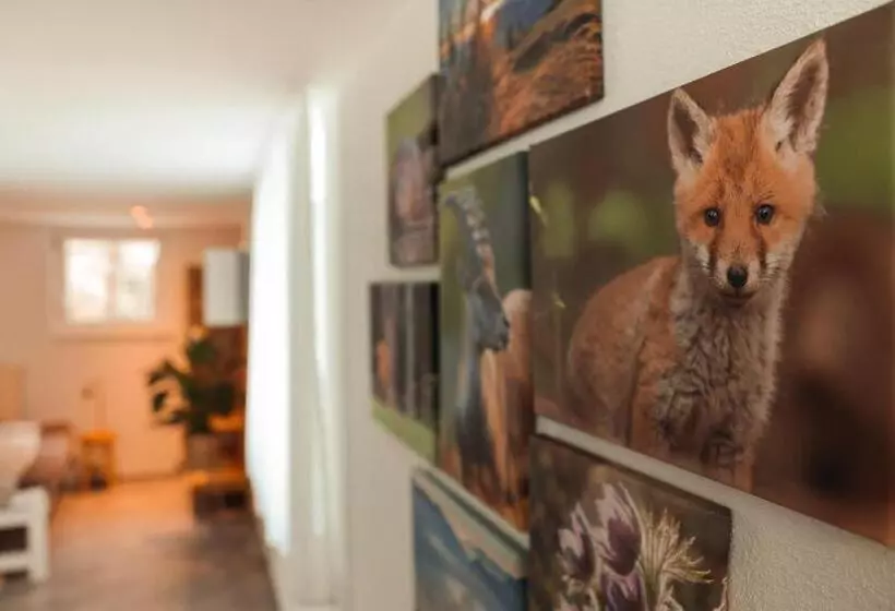 Aamiaismajoitus (B&B) Haus Meierhüsli