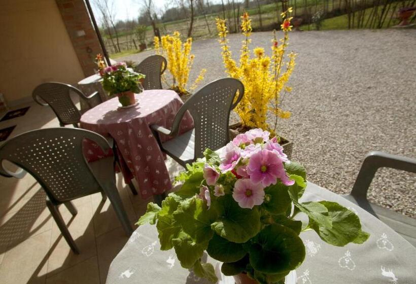 Bed And Breakfast Venice House