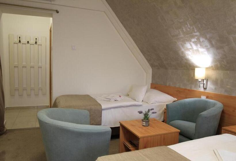 تختخواب و صبحانه Zenit Panzió