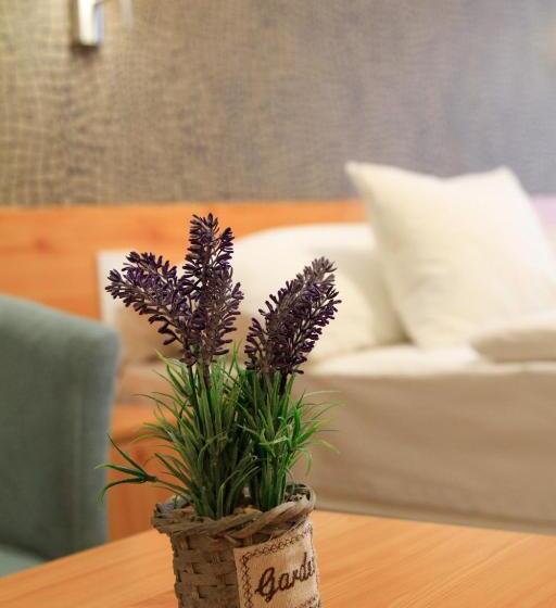 تختخواب و صبحانه Zenit Panzió