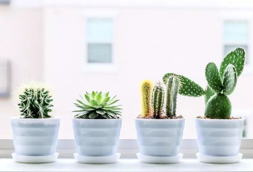 ホテル 44 Residence And Resort