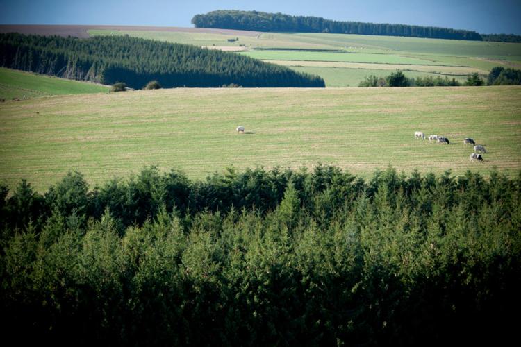 בית מלון כפרי Chateau De Strainchamps
