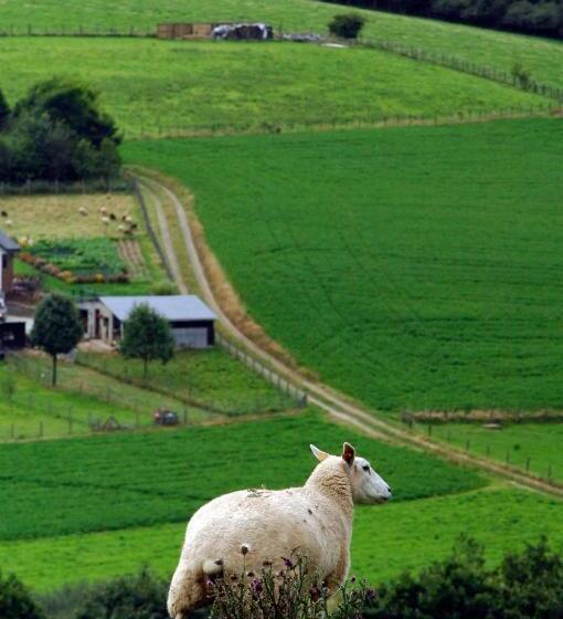 בית מלון כפרי Chateau De Strainchamps