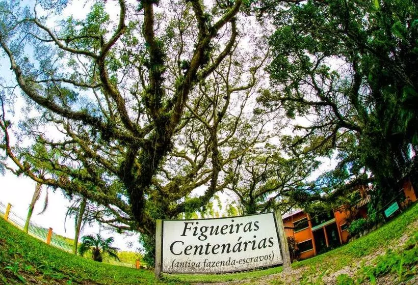 ホテル Fazenda Figueiras