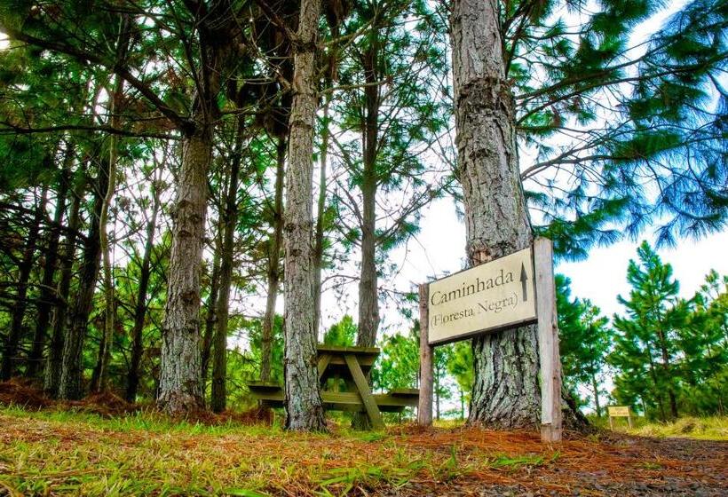 Hotel Fazenda Figueiras