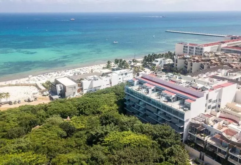 Lovely And Homely 2 Br With Ocean View