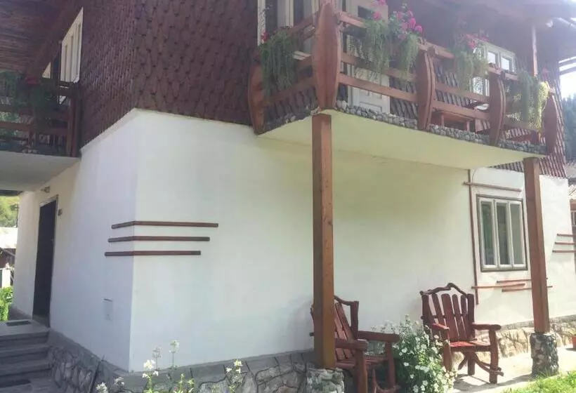 ペンション Casa De Vacanta Joldes