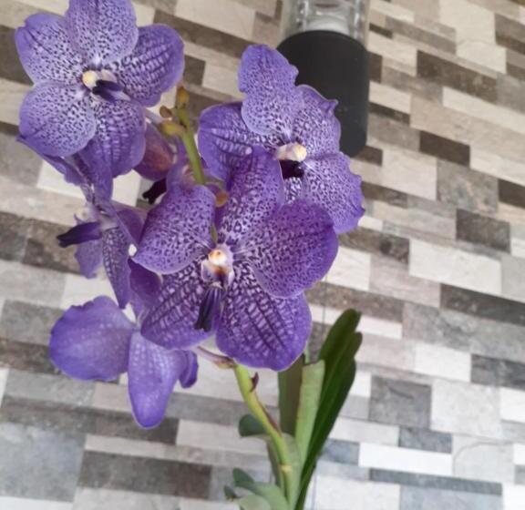 بنسيون Deutsche Villa