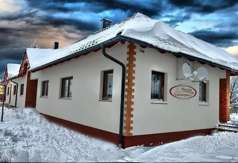 Majatalo Hanság Vendégház