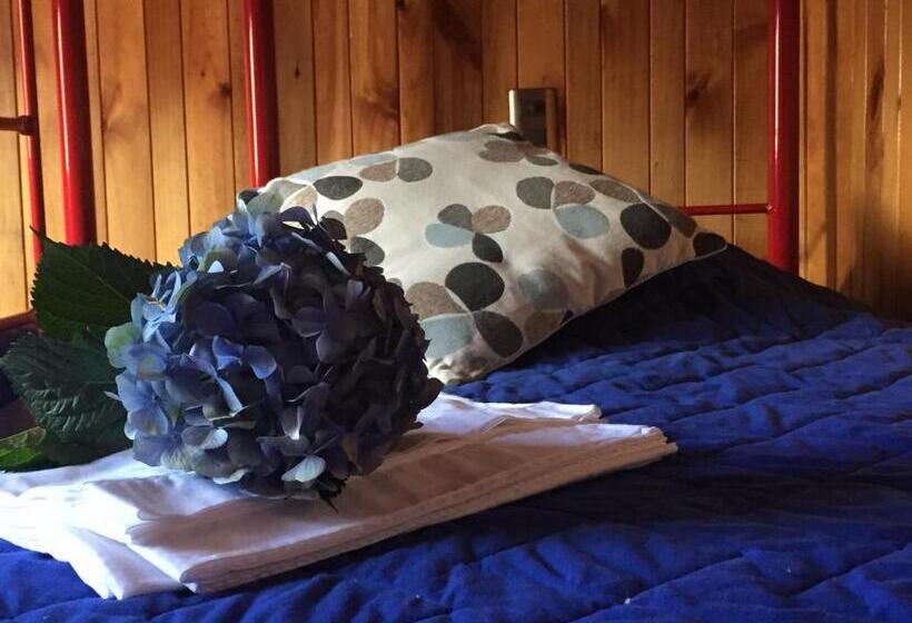 پانسیون Hostel El Alcazar