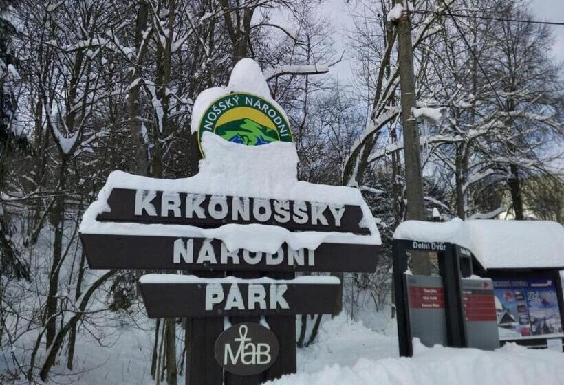 ペンション Liberecká Bouda