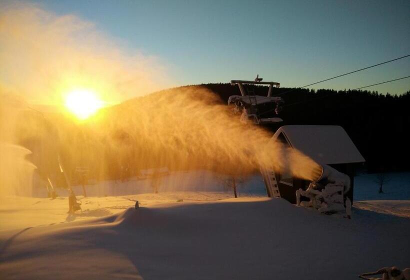 ペンション Liberecká Bouda