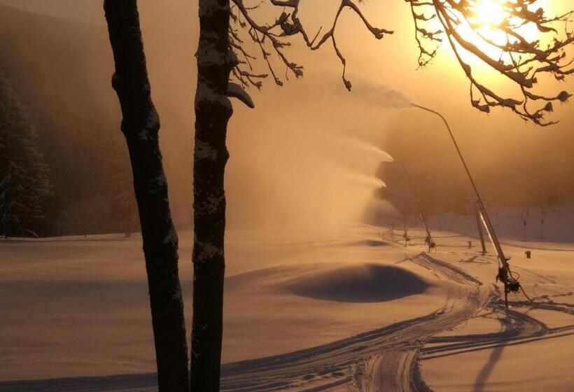 ペンション Liberecká Bouda