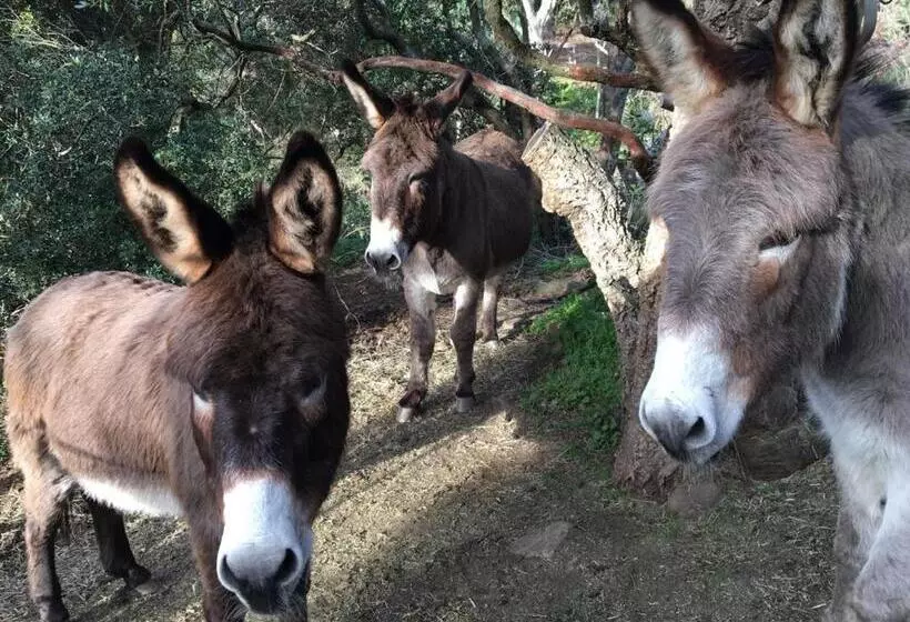 ペンション Massacan Vue Mer