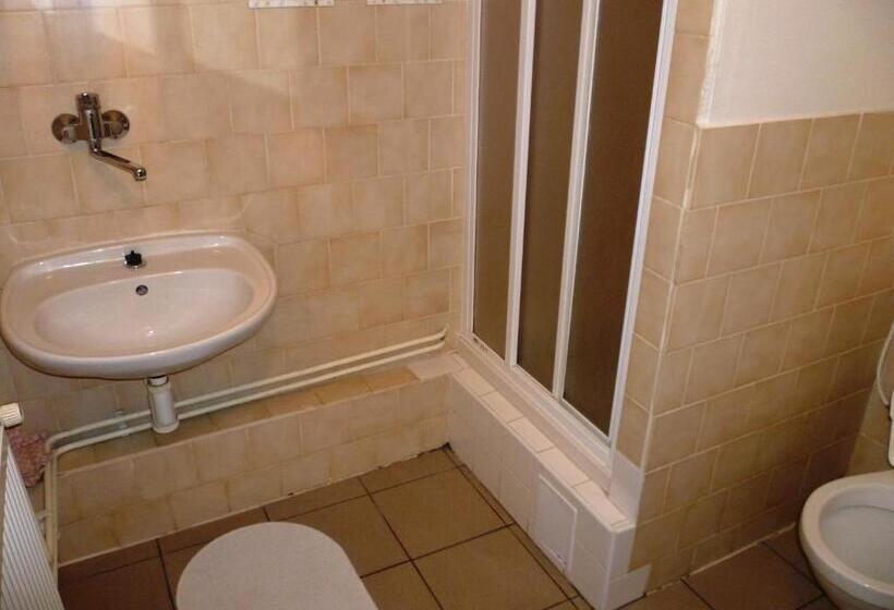 פנסיון Penzion Pod Studenovem