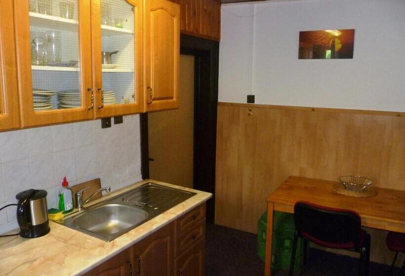 פנסיון Penzion Pod Studenovem