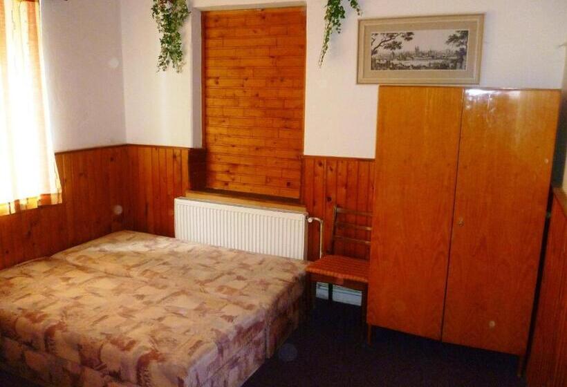 פנסיון Penzion Pod Studenovem