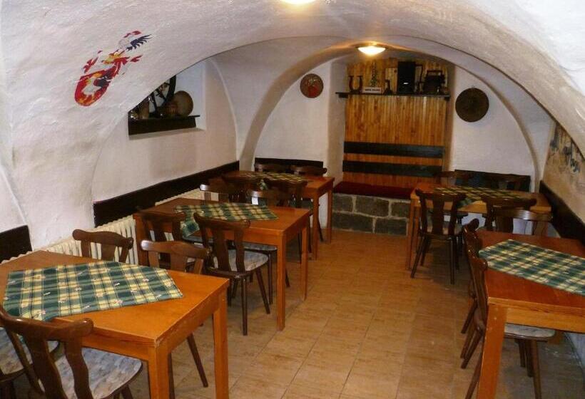 Pensione Penzion Pod Studenovem