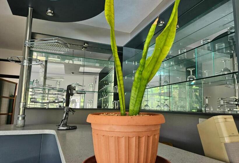 פנסיון Ushpav Villa