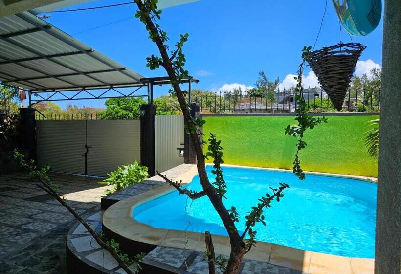 פנסיון Ushpav Villa