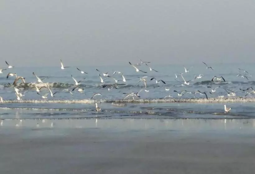 Whistling Waves Beach Resort