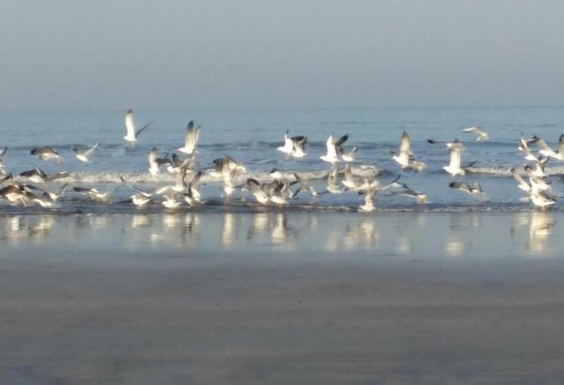 Whistling Waves Beach Resort