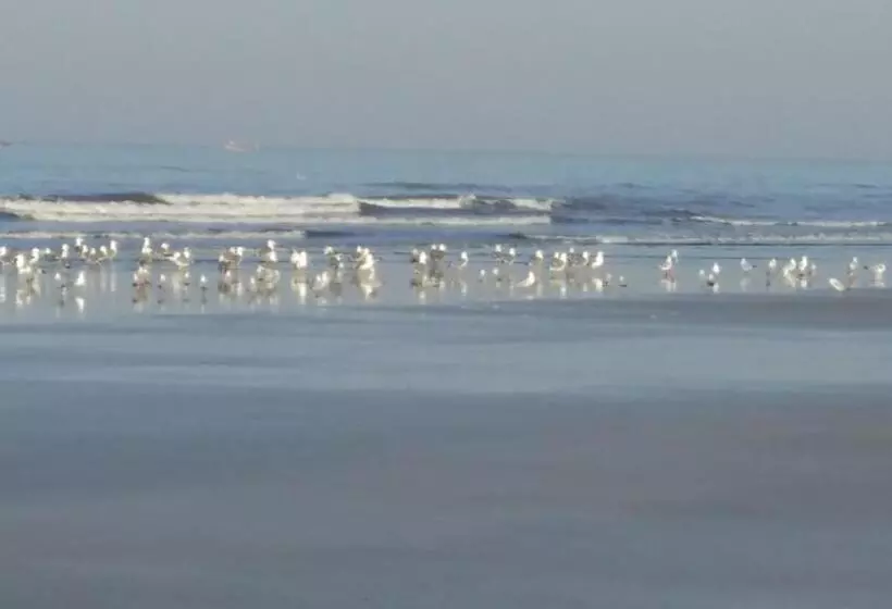 Whistling Waves Beach Resort