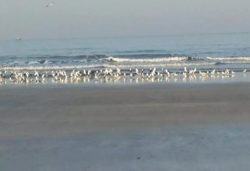 Whistling Waves Beach Resort