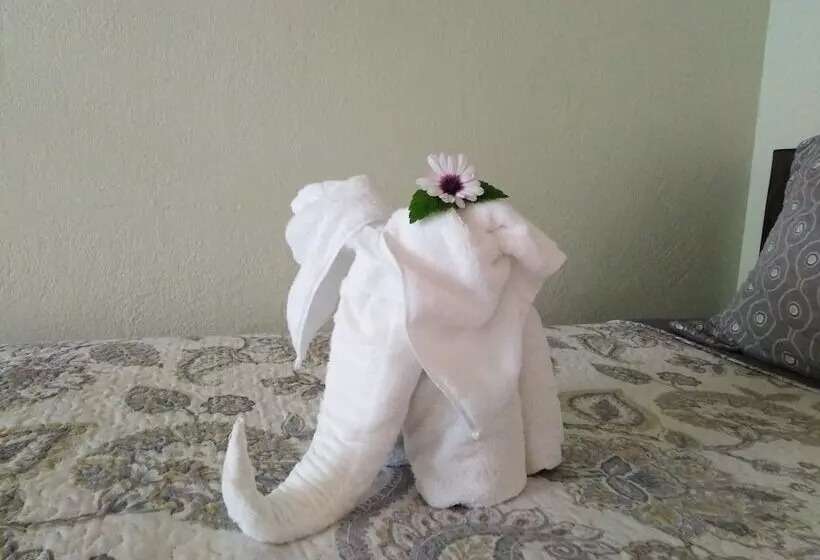 Aamiaismajoitus (B&B) Cassidini House