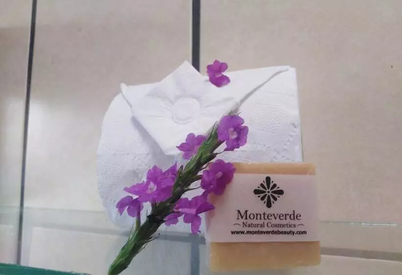 Aamiaismajoitus (B&B) Cassidini House