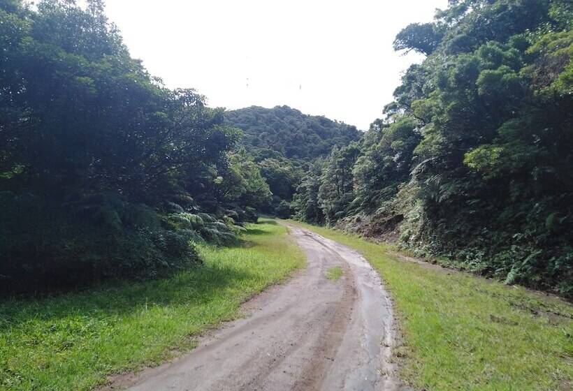 مبيت وإفطار Cassidini House