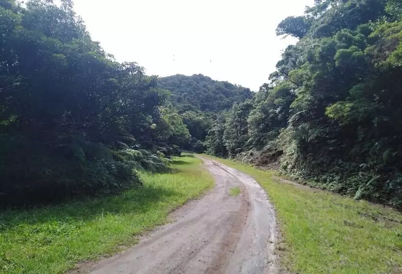 Aamiaismajoitus (B&B) Cassidini House