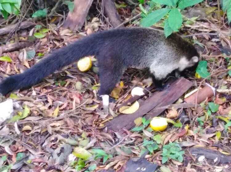 مبيت وإفطار Cassidini House