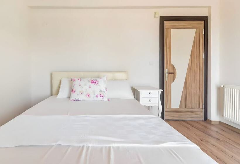 Отель Salida Inn