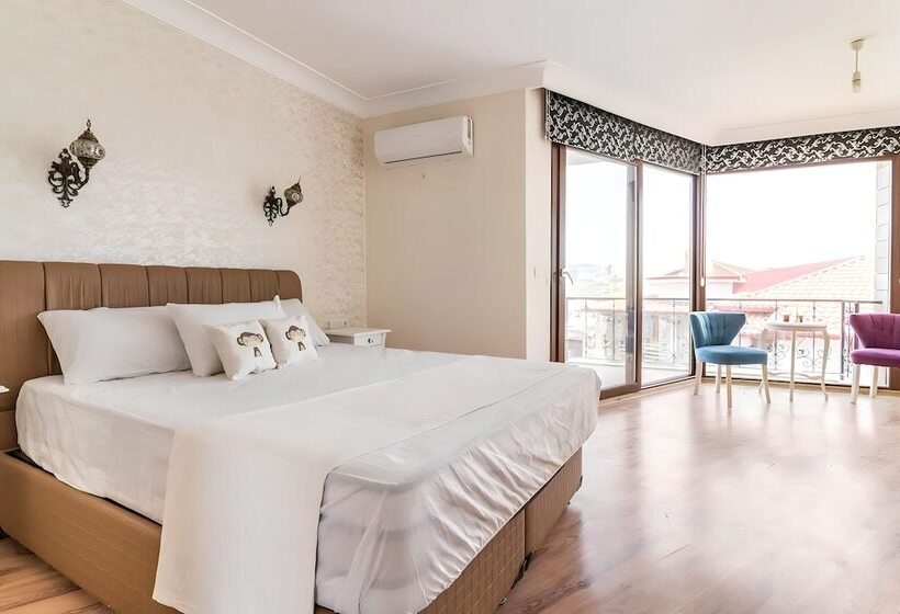 Отель Salida Inn