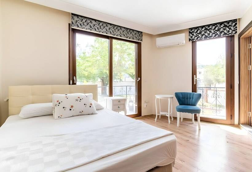 Отель Salida Inn