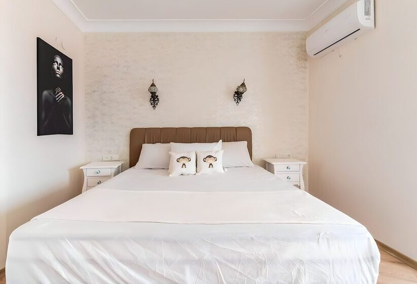 Отель Salida Inn