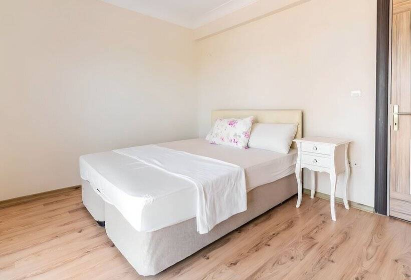 Отель Salida Inn