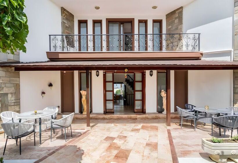 Отель Salida Inn