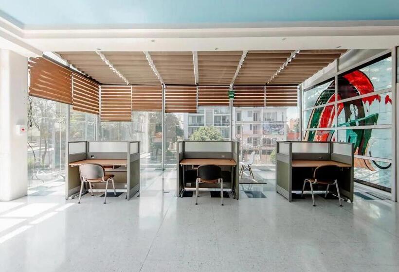 هاستل Bed In Mixed Room Herold Homes