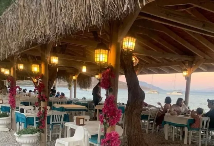 Avlu Butik Otel Palamutbükü