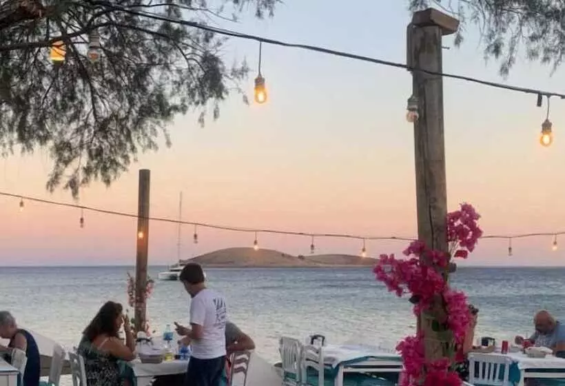 Avlu Butik Otel Palamutbükü